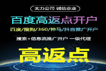 顶尖SEM竞价代运营公司案例分析